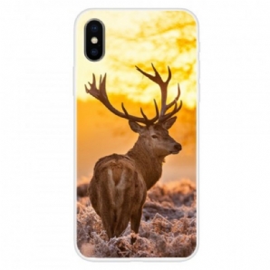 Handyhülle Für iPhone X / XS Hirsch Und Landschaft