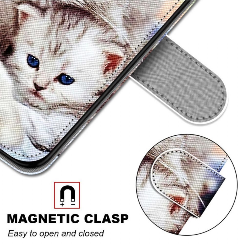 Flip Case Für Samsung Galaxy M53 5G Katzenfamilie